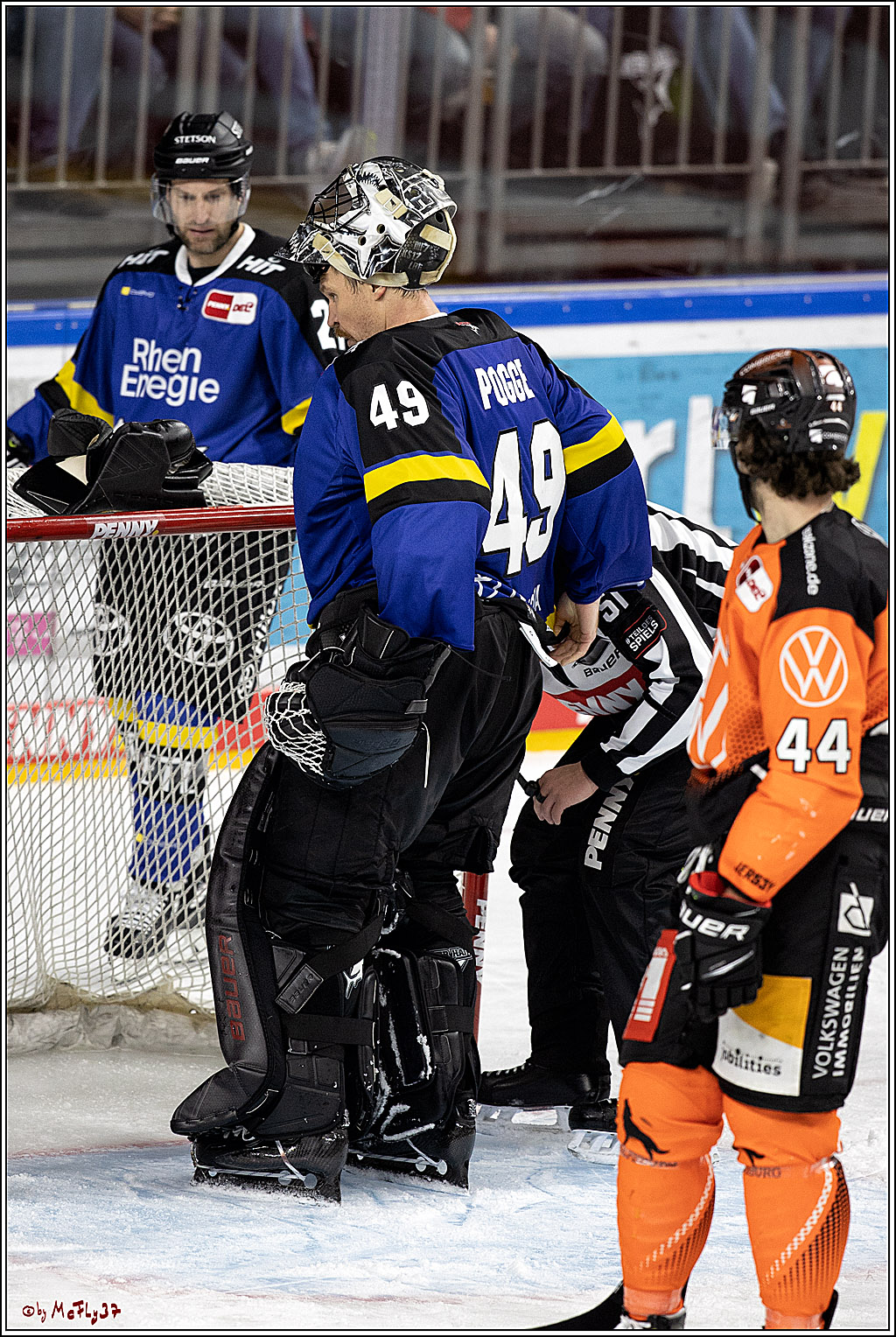 PENNY DEL;  Koelner Haie - Grizzlys Wolfsburg; Koeln, 25.11.2021